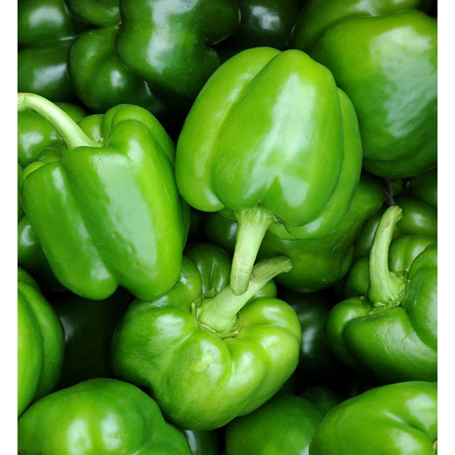 Green Pepper (500g)