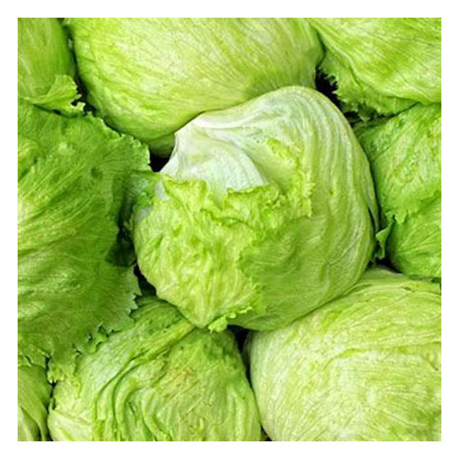 Iceberg Lettuce (Each)