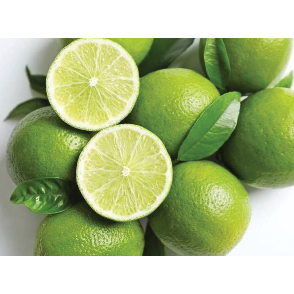 Lime Offers (10 pieces)